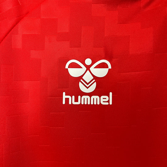 DENMARK 2024 HOME JERSEY