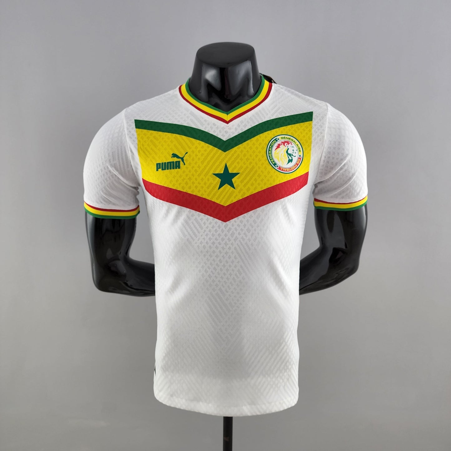 SENEGAL 2022 HOME JERSEY